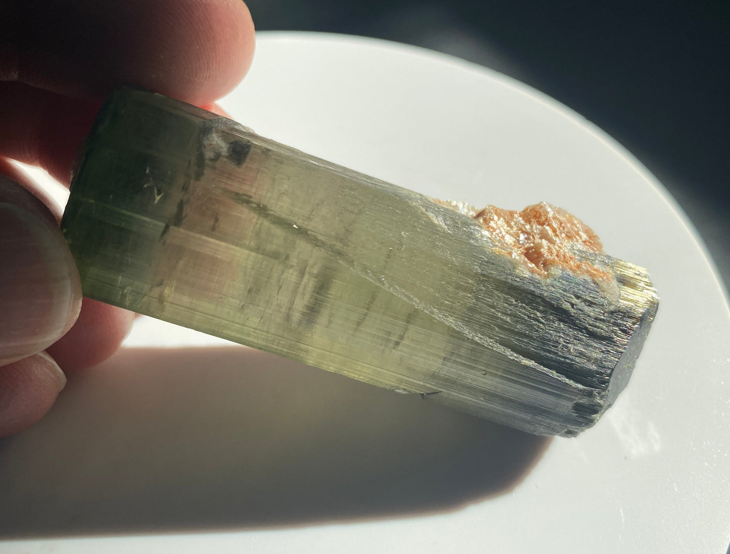 Tourmaline, Himalaya Mine, Mesa Grande, California