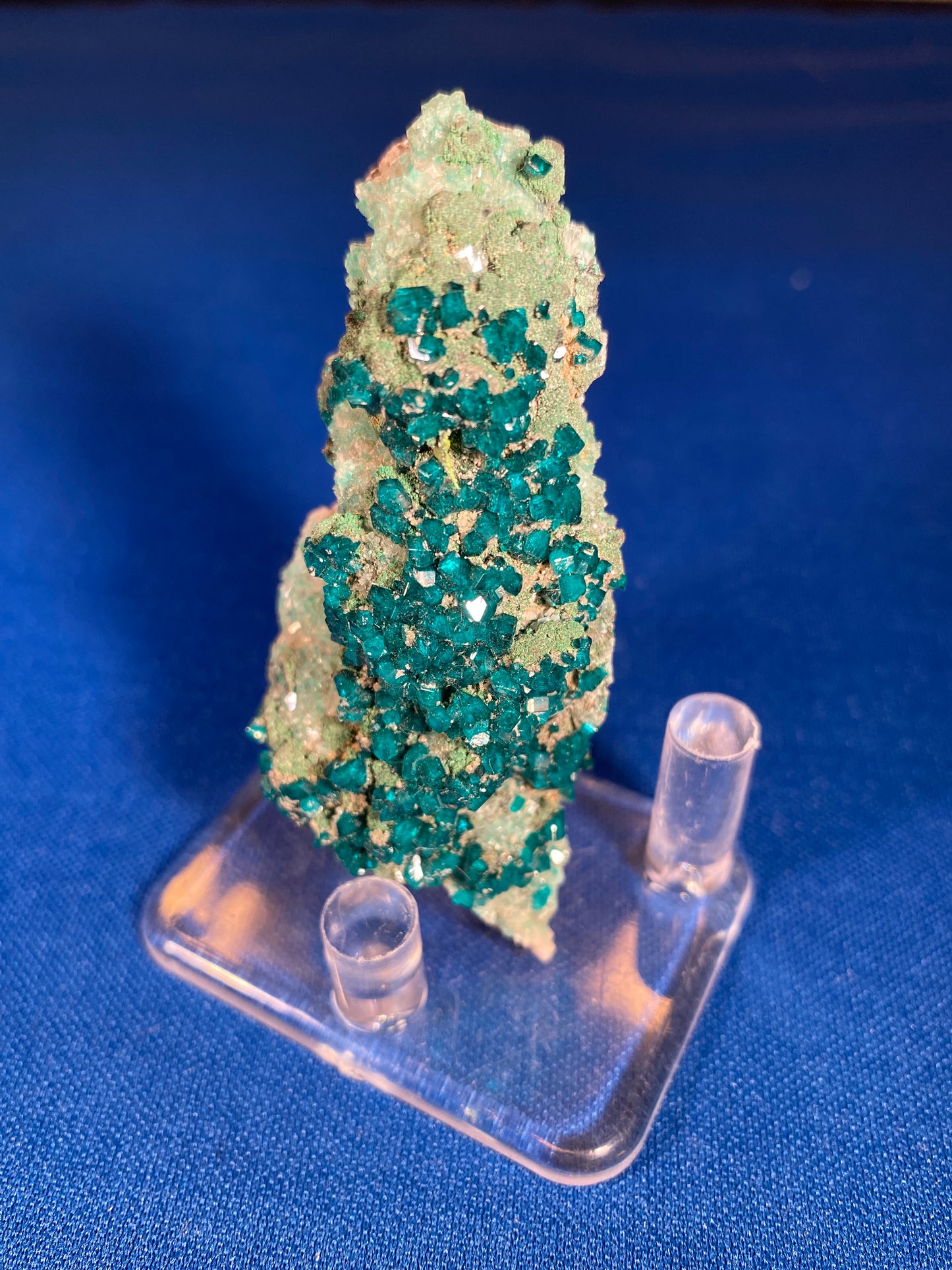 Dioptase, Tsumeb, Namibia (Ex Prosper J. Williams)