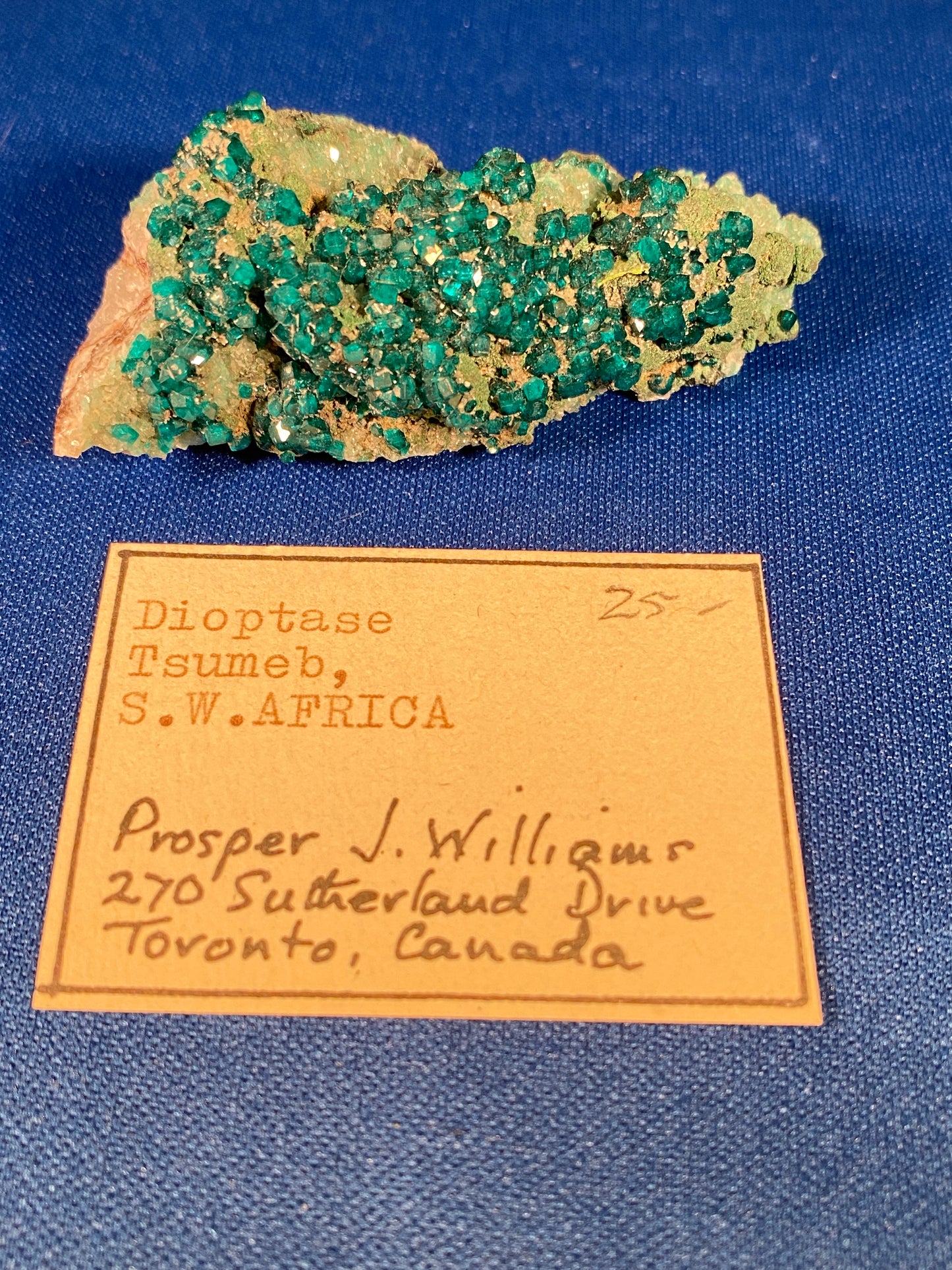 Dioptase, Tsumeb, Namibia (Ex Prosper J. Williams)