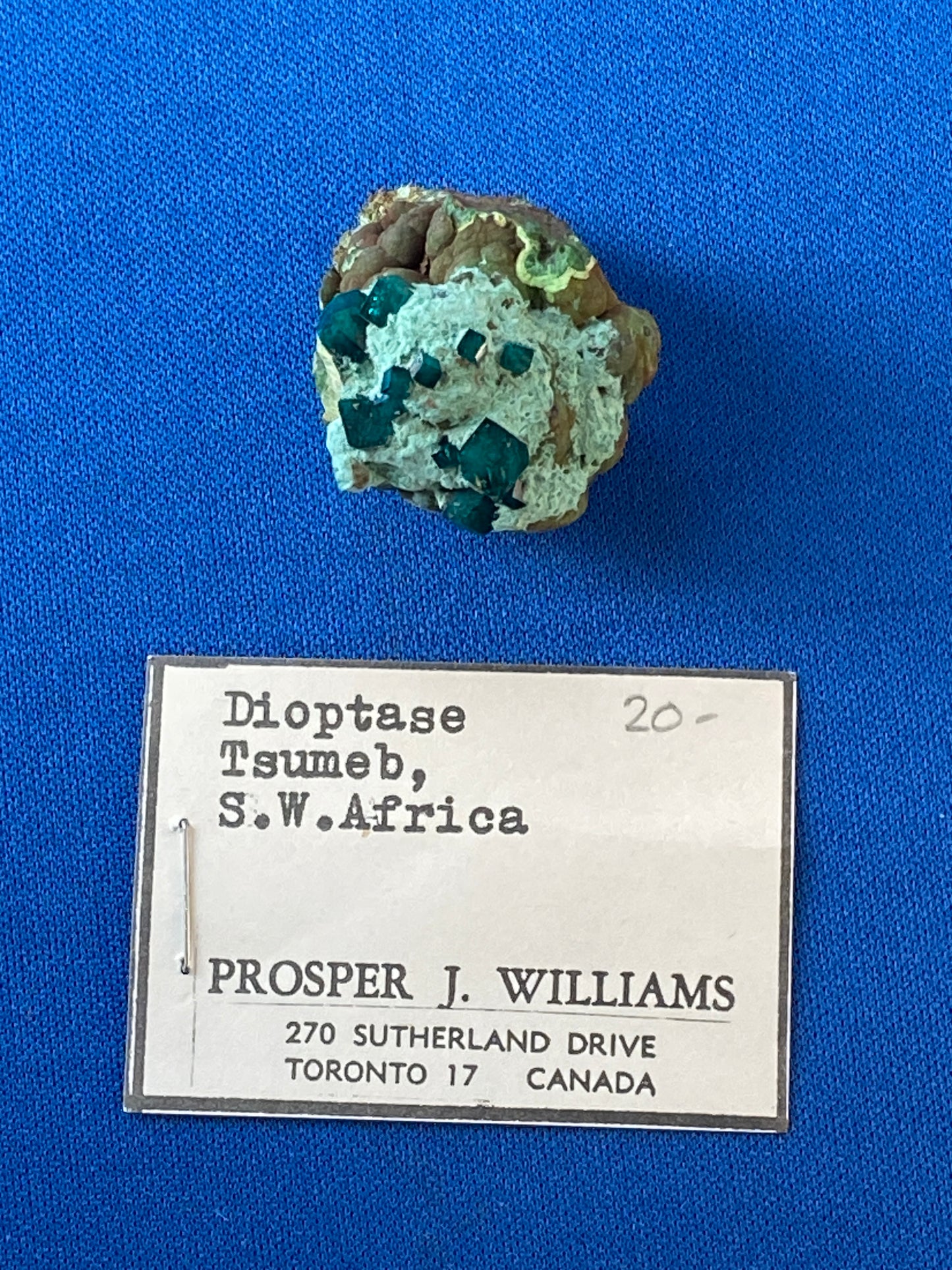 Dioptase, Tsumeb, Namibia (Ex Prosper J. Williams)