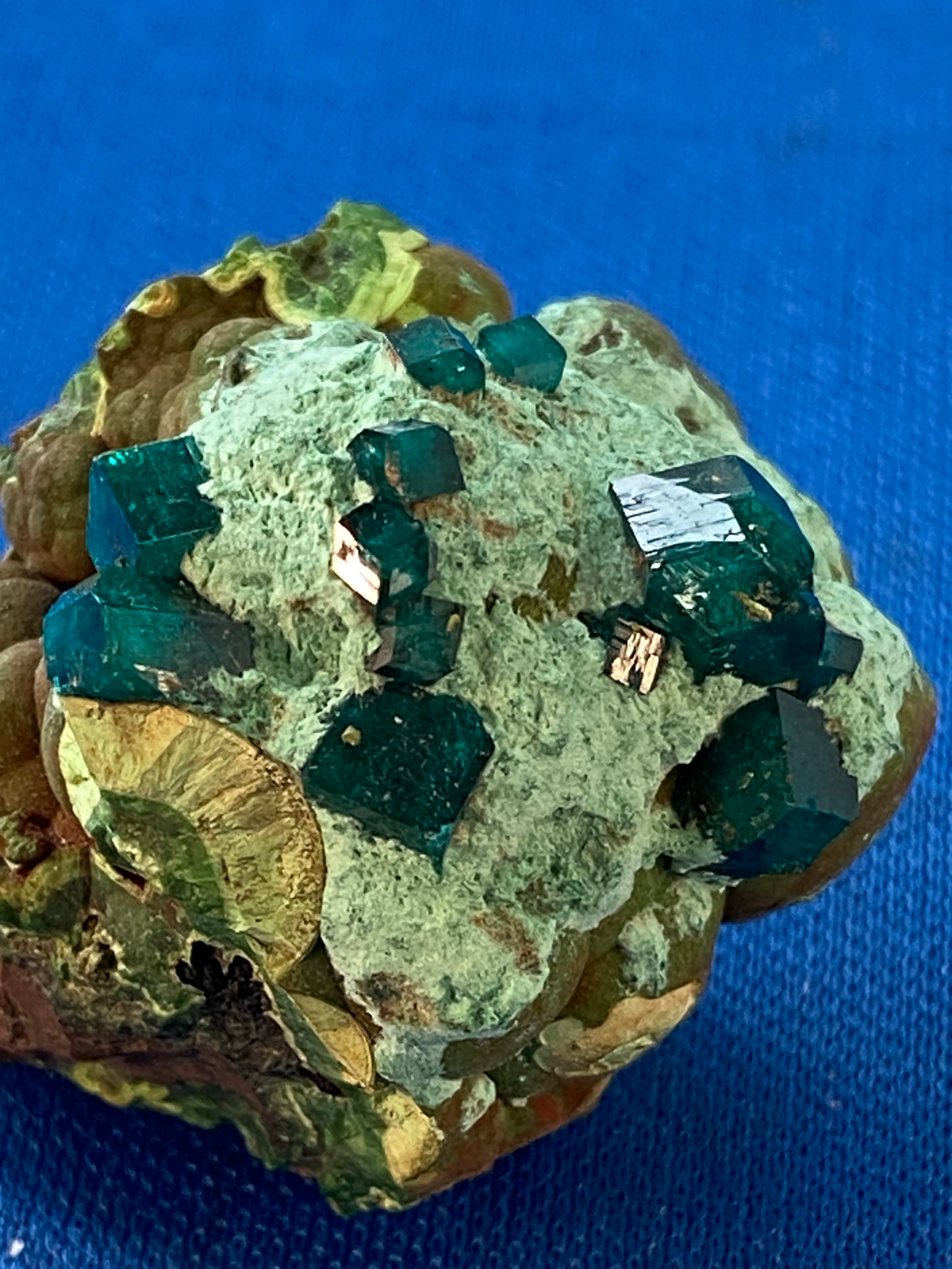 Dioptase, Tsumeb, Namibia (Ex Prosper J. Williams)