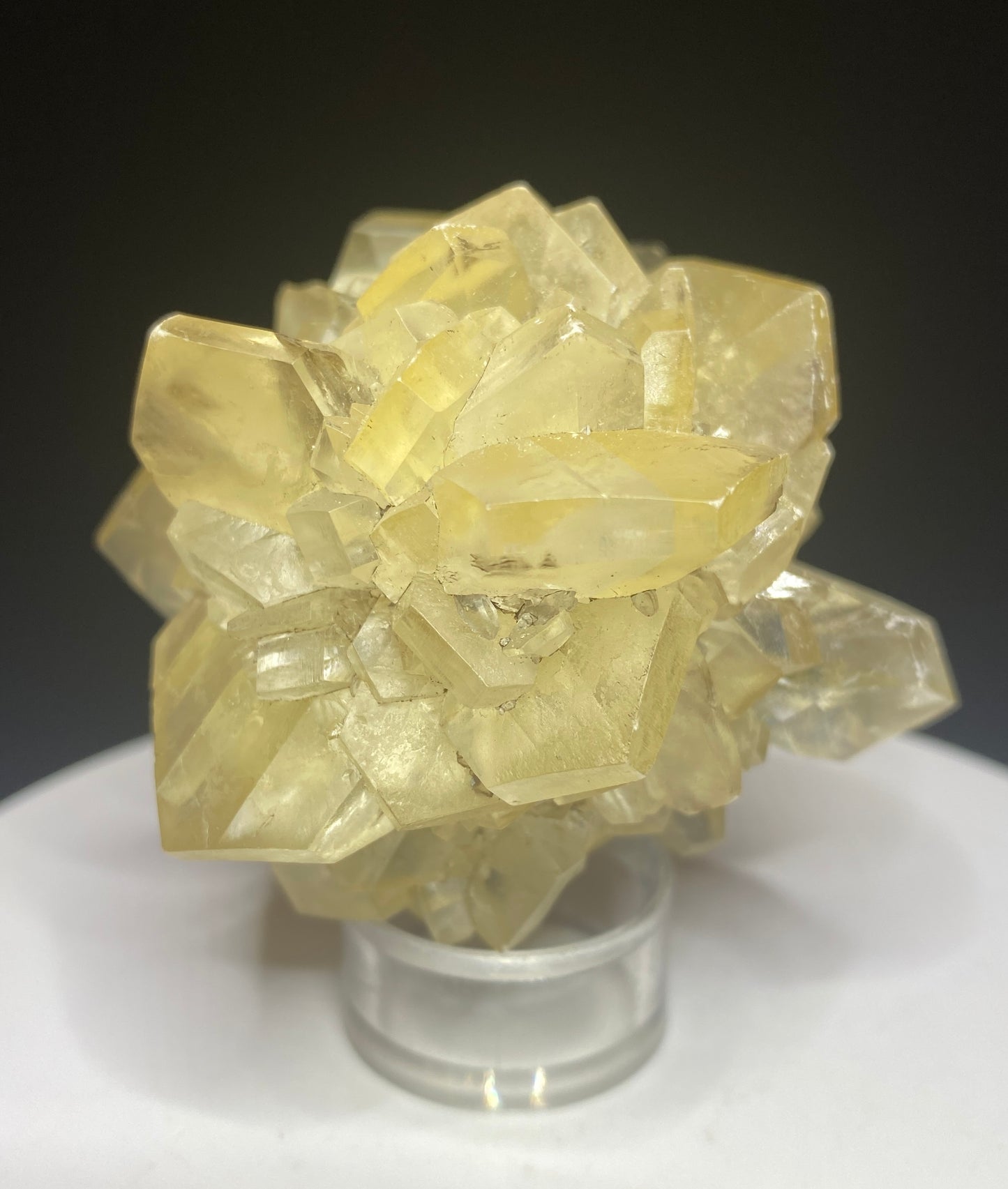 Gypsum (variety Selenite), Red River Floodway, Winnipeg, Manitoba