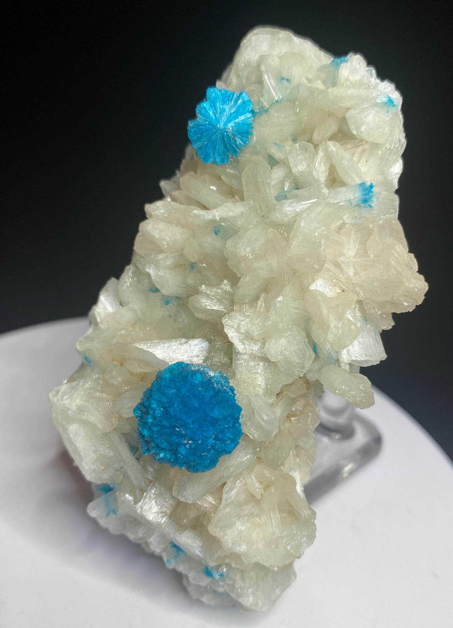 Cavansite on Stilbite, Wagholi Quarries, Pune, Maharashtra, India