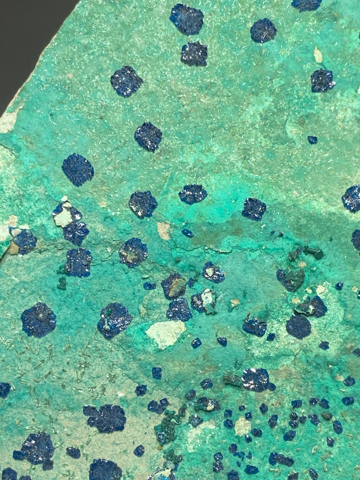 Cornetite, Star of Congo Mine, Lubumbashi, Democratic Republic of Congo