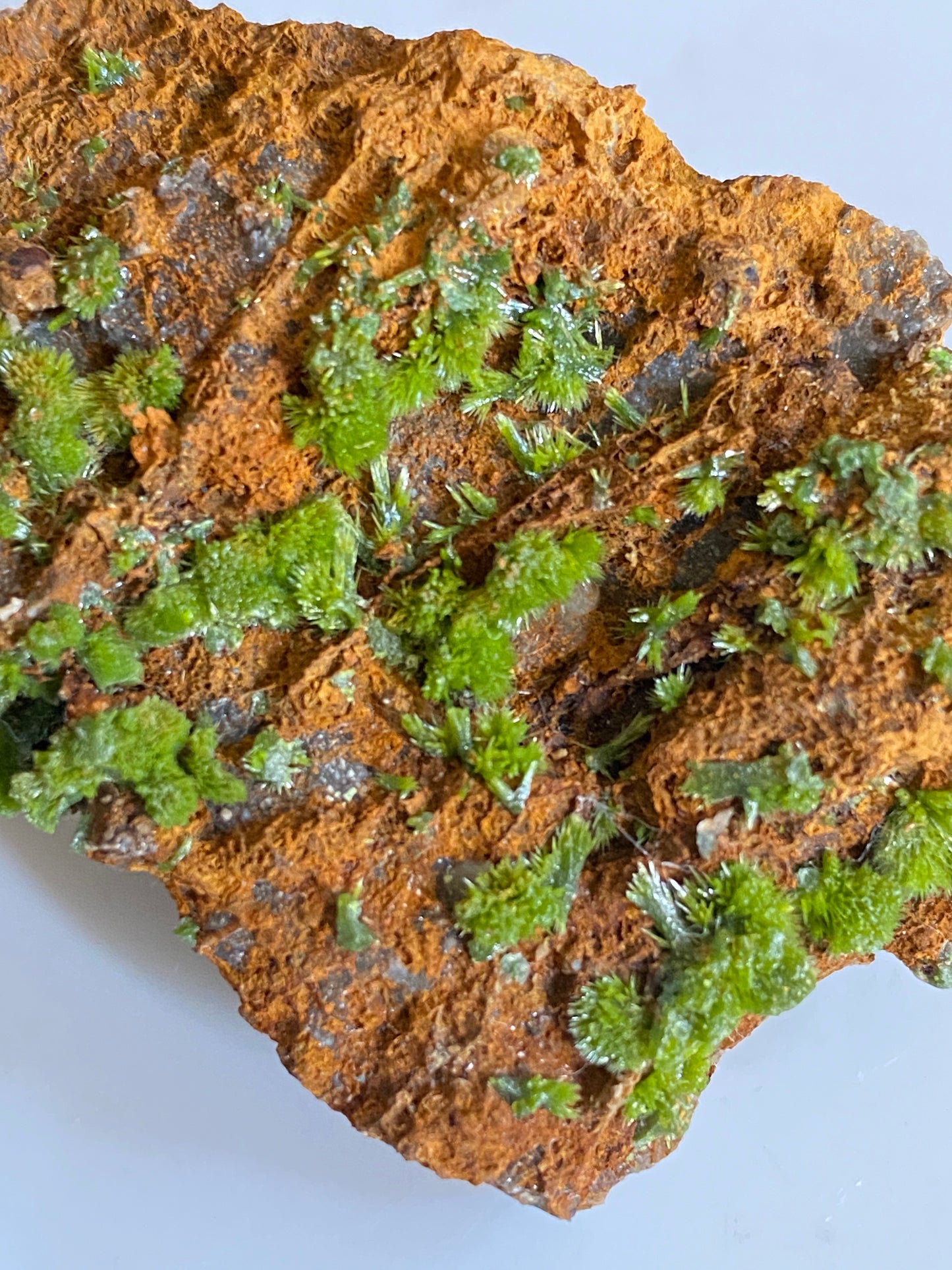 Pyromorphite, Saint Salvy Mine, Tarn, France