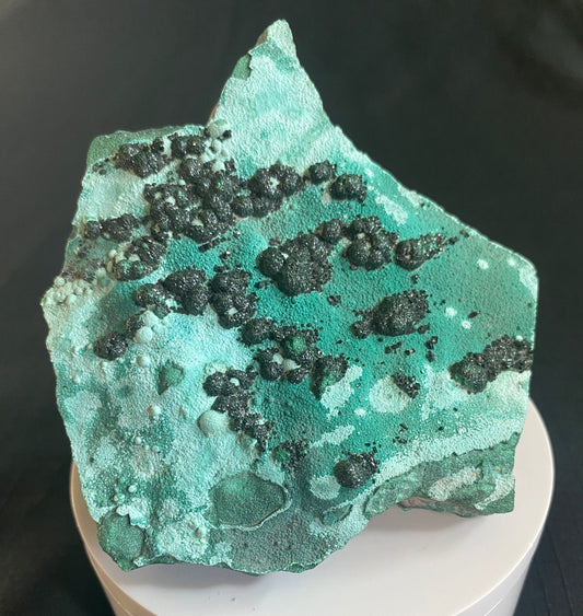 Heterogenite on Chrysocolla, Katanga, Democratic Republic of Congo