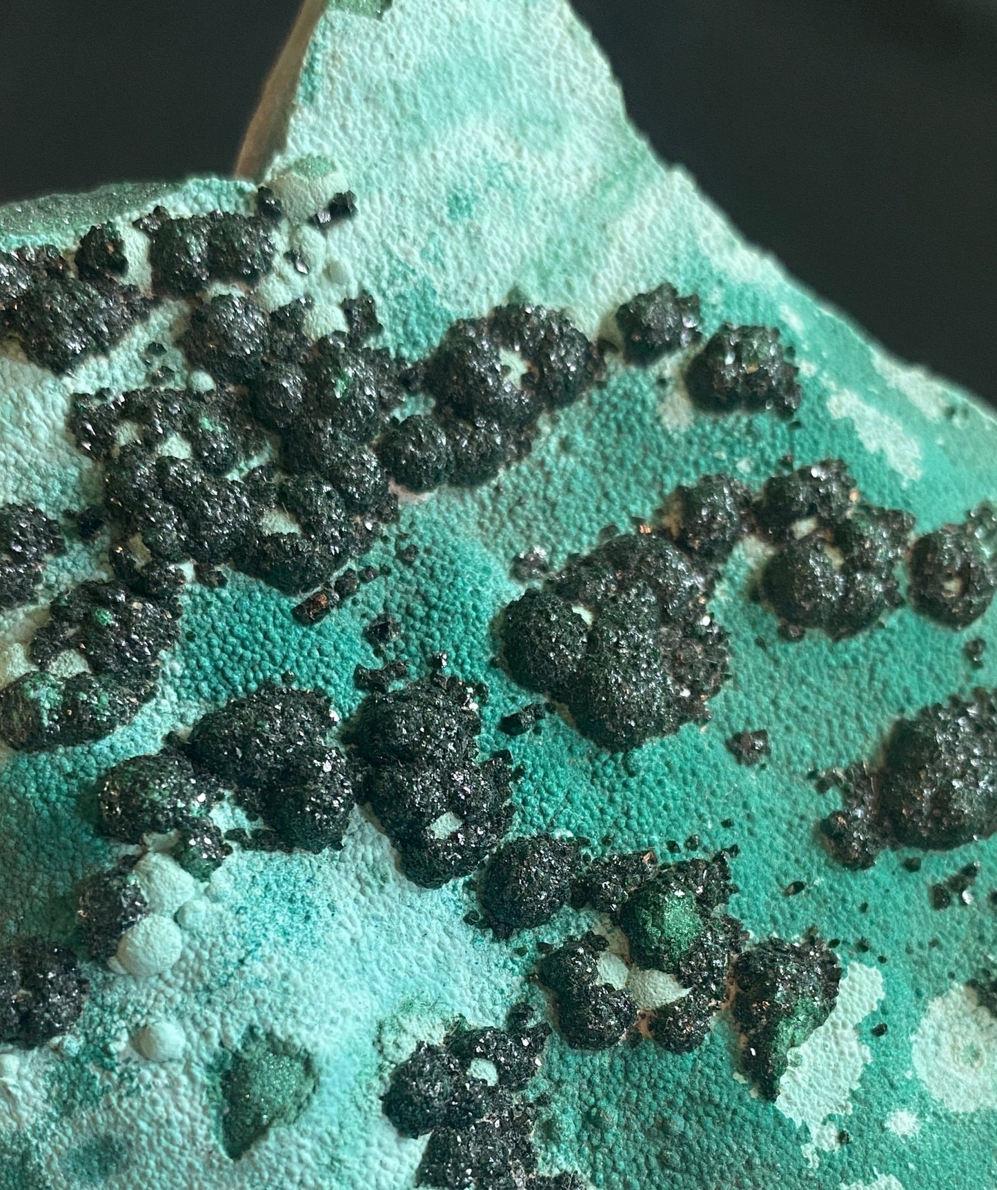 Heterogenite on Chrysocolla, Katanga, Democratic Republic of Congo