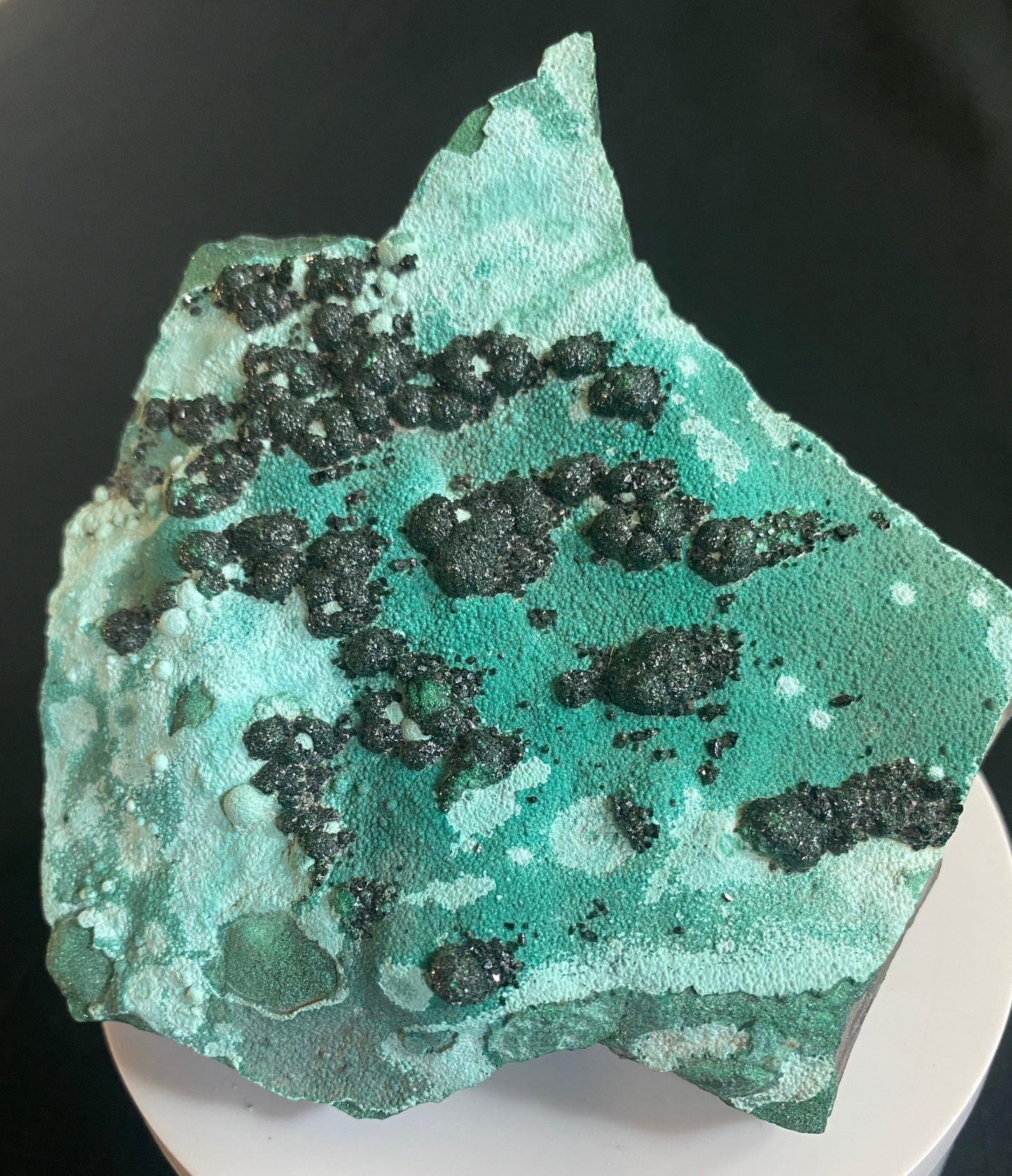 Heterogenite on Chrysocolla, Katanga, Democratic Republic of Congo
