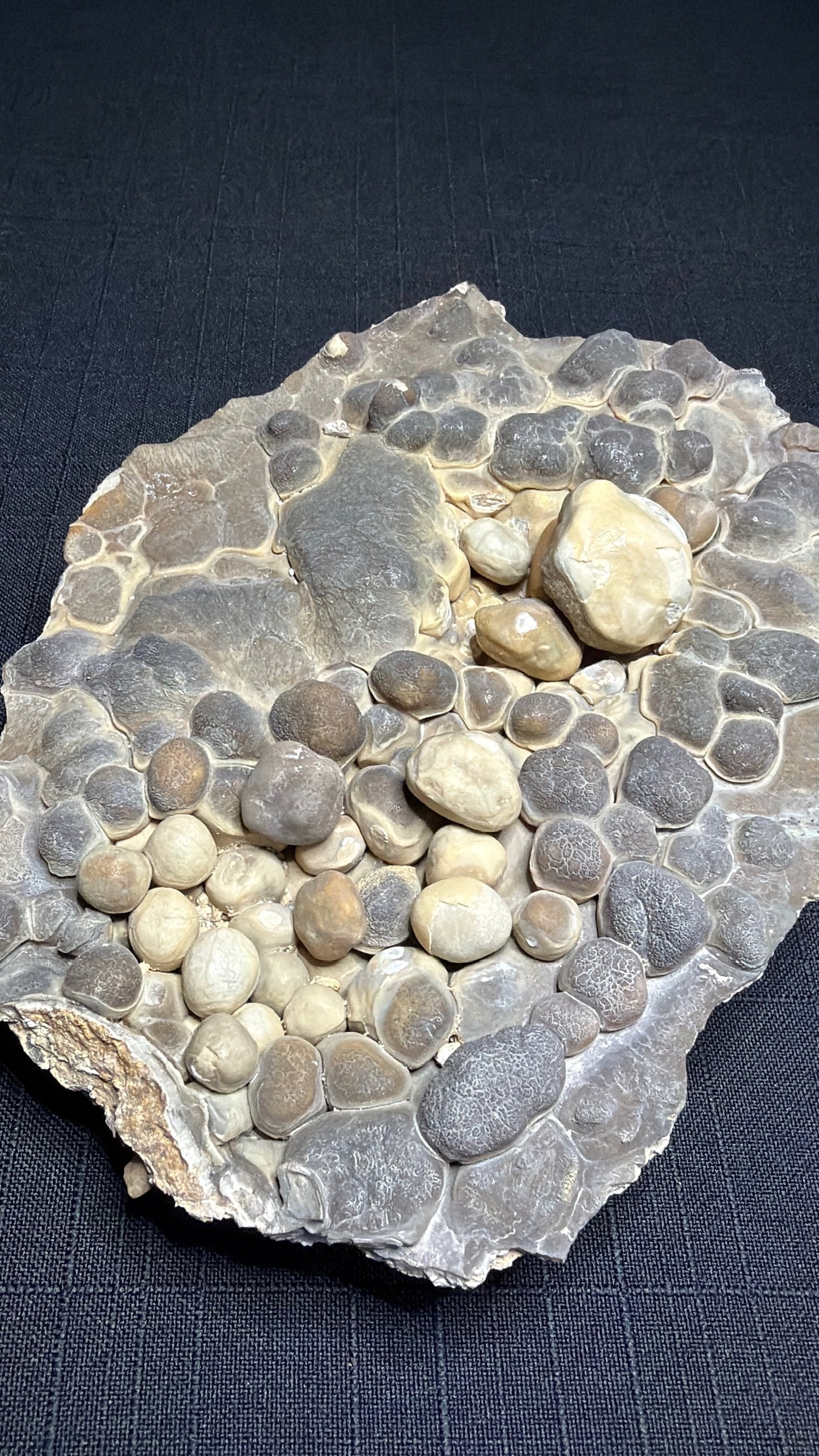 Grey and cream Bird’s Nest aragonite with rounded cave pearls from the Erzberg Mine in Austria