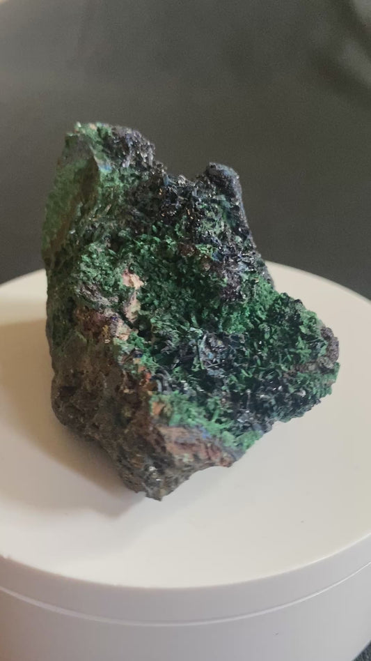 Azurite in Digenite, Tsumeb, Namibia