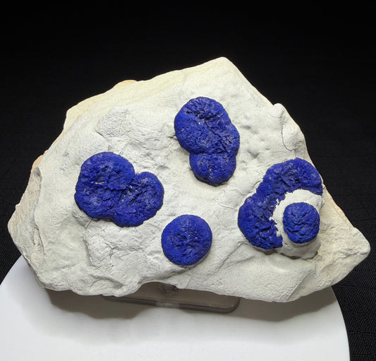 Deep blue azurite suns on pale matrix from Malbunka Copper Mine, Areyonga, Northern Territory, Australia