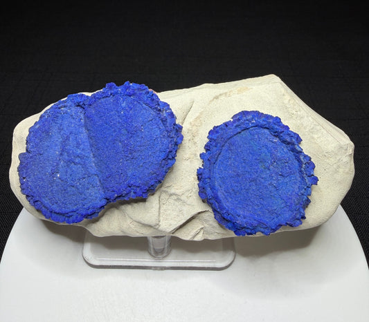 Large royal-blue azurite suns on pale matrix from Malbunka Copper Mine, Australia