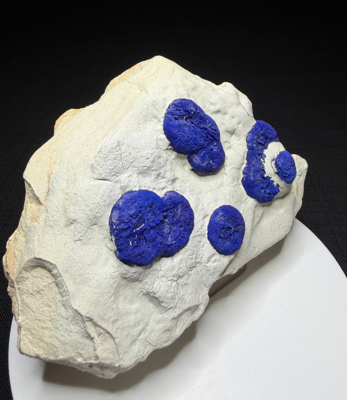 Deep blue azurite suns on pale matrix from Malbunka Copper Mine, Areyonga, Northern Territory, Australia