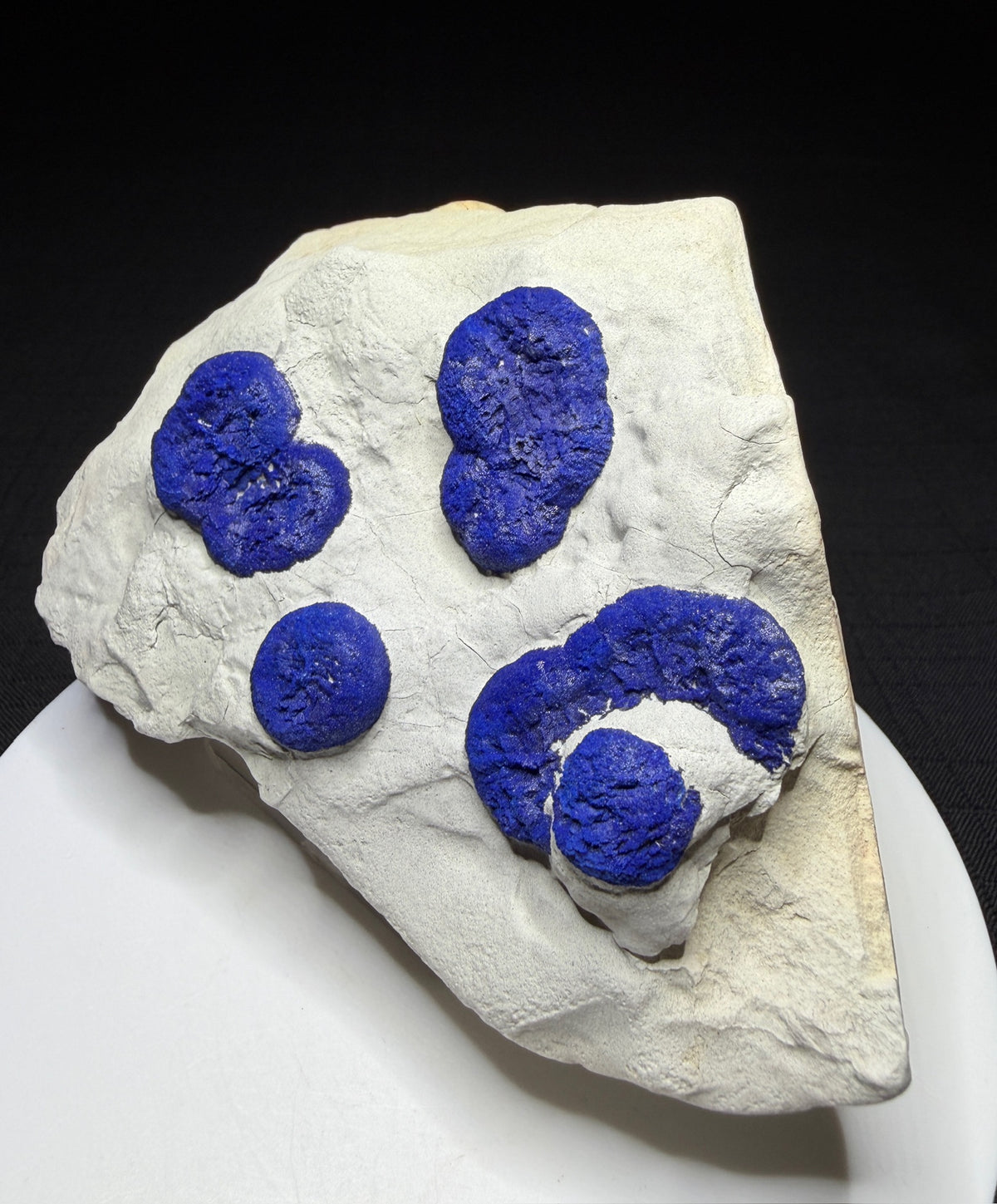 Deep blue azurite suns on pale matrix from Malbunka Copper Mine, Areyonga, Northern Territory, Australia