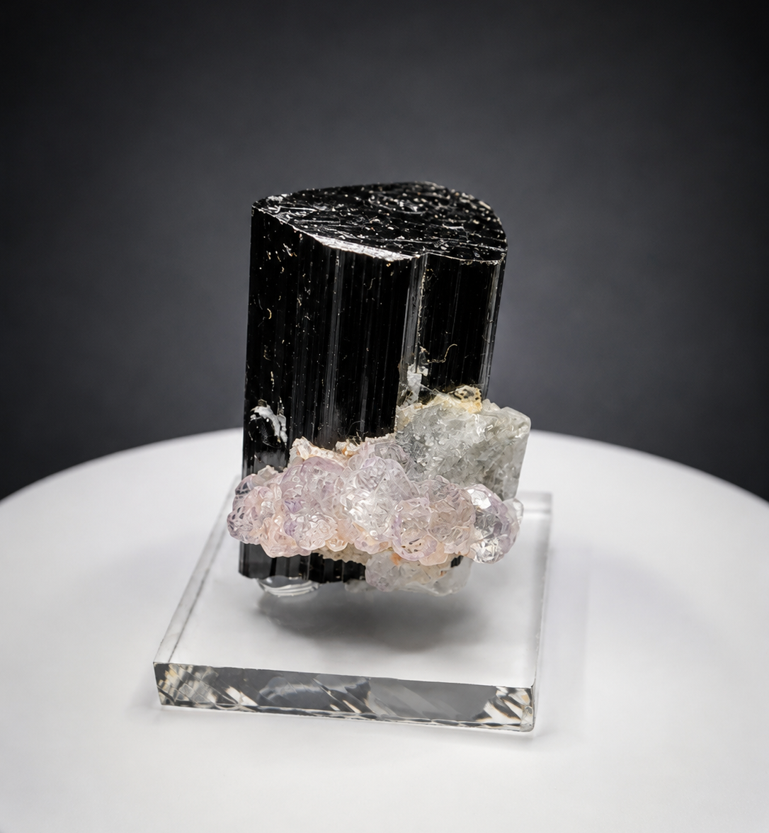 Fluorite & Quartz on Schorl – Shengus, Pakistan