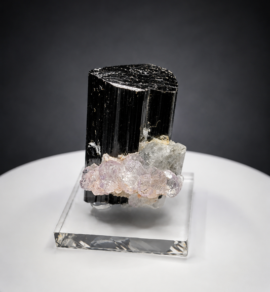 Fluorite & Quartz on Schorl – Shengus, Pakistan