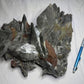 Large calcite crystals on sparkling marcasite from Brushy Creek Mine, Reynolds County, Missouri