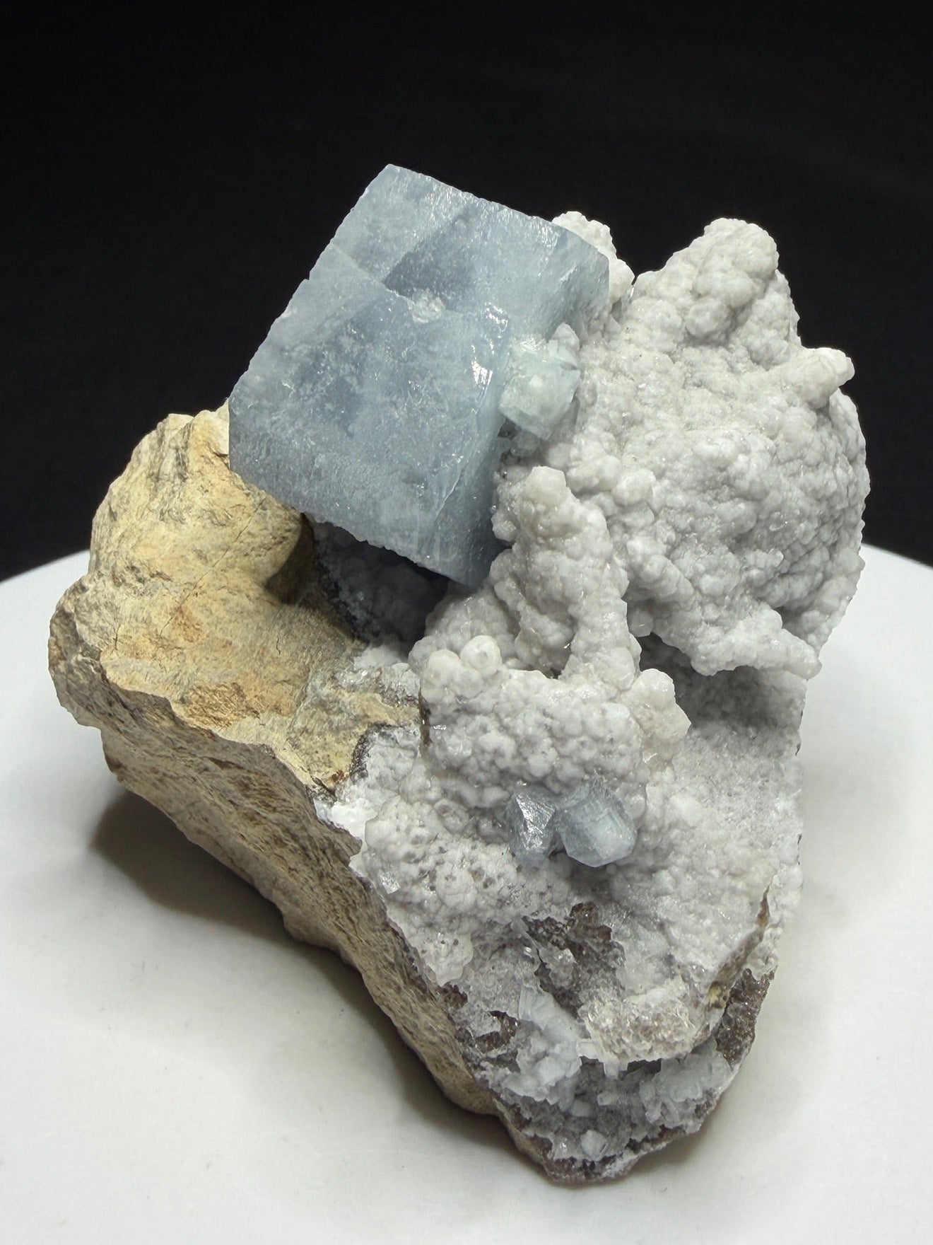 A natural mineral specimen featuring a large pale blue fluorite cube rising from a textured white and gray crystalline matrix, set on a beige matrix base against a black background.