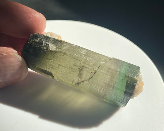 Tourmaline, Himalaya Mine, Mesa Grande, California