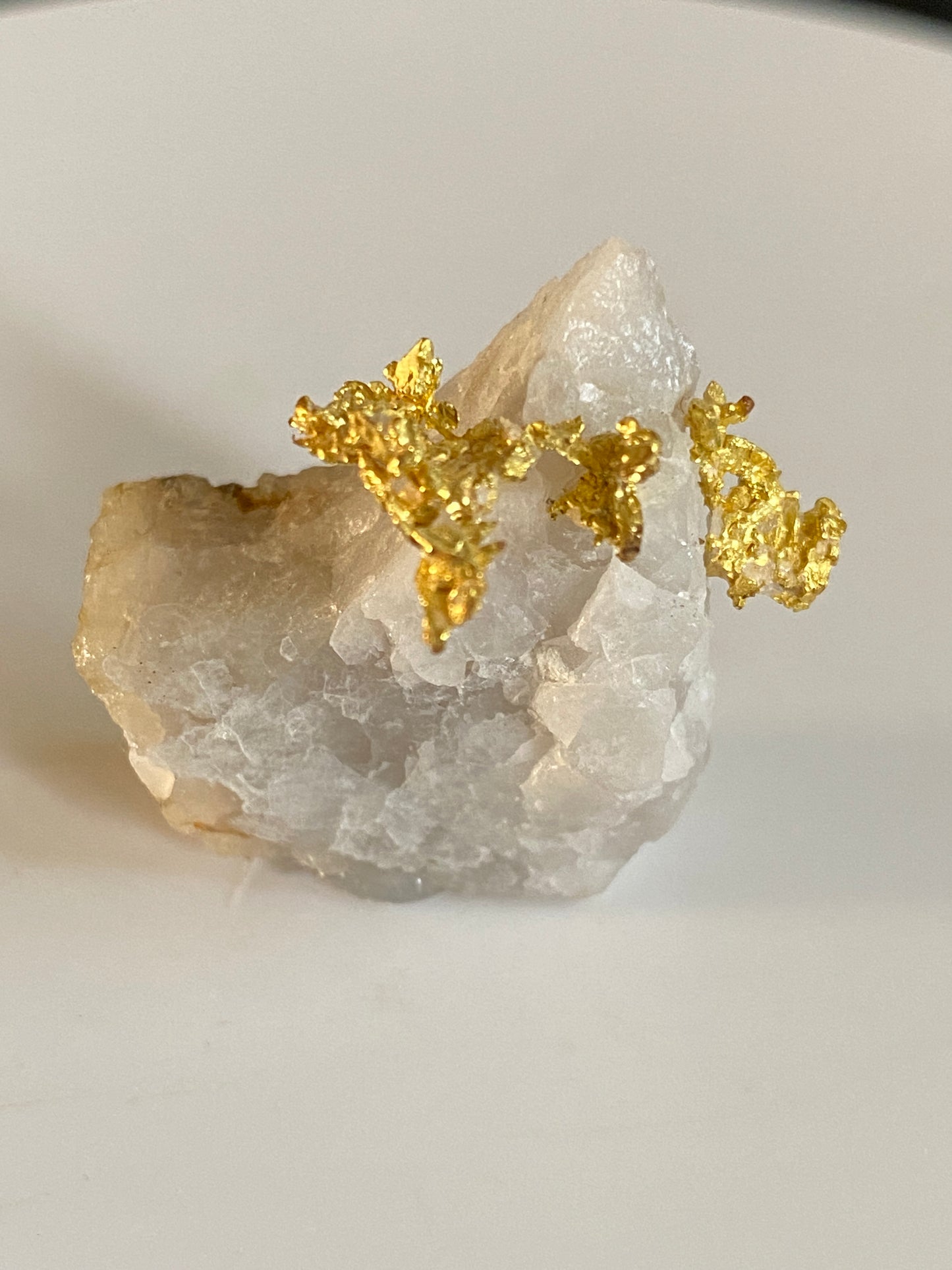 Gold in Quartz, Eagle's Nest Mine, California