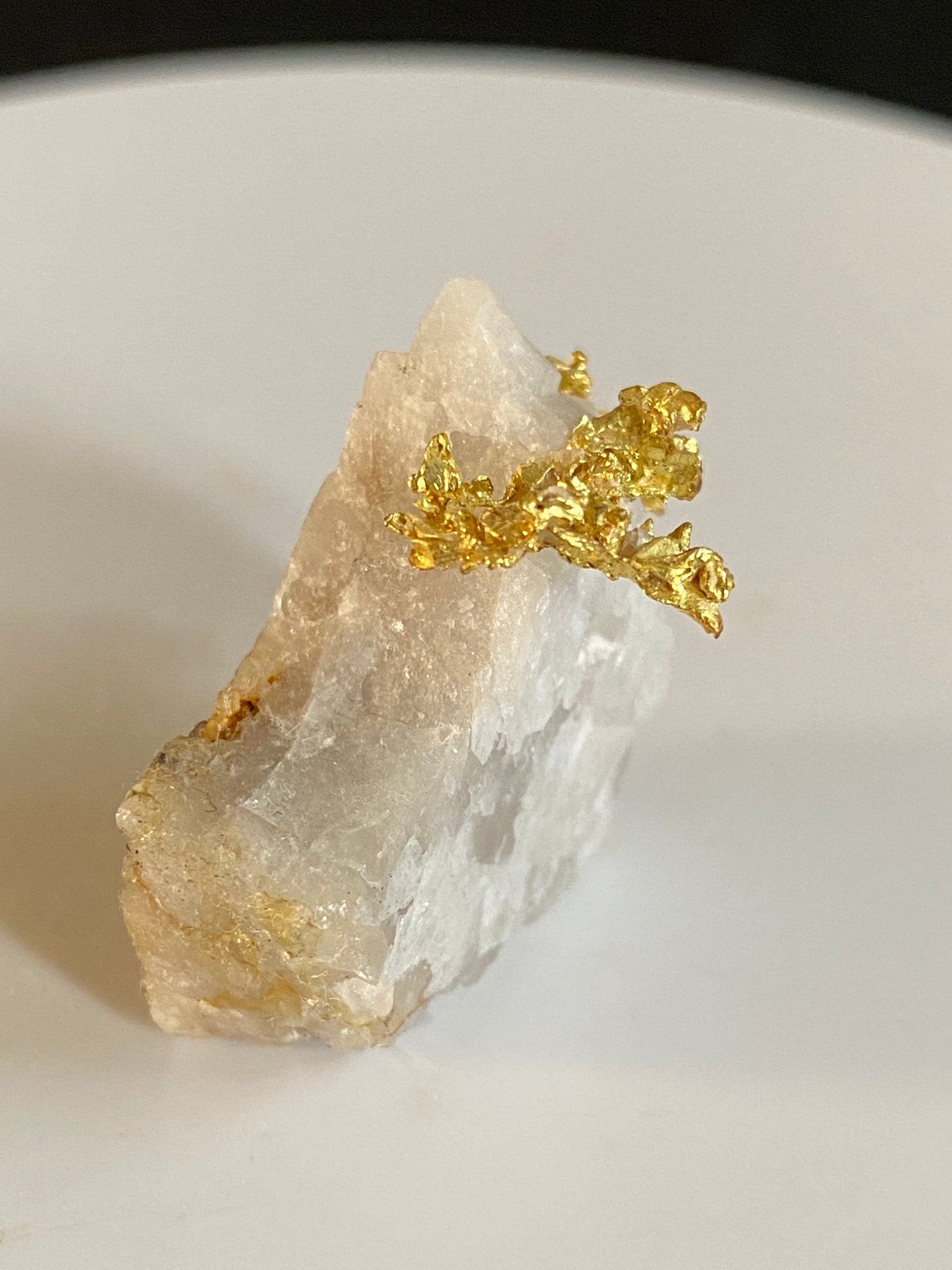 Gold in Quartz, Eagle's Nest Mine, California