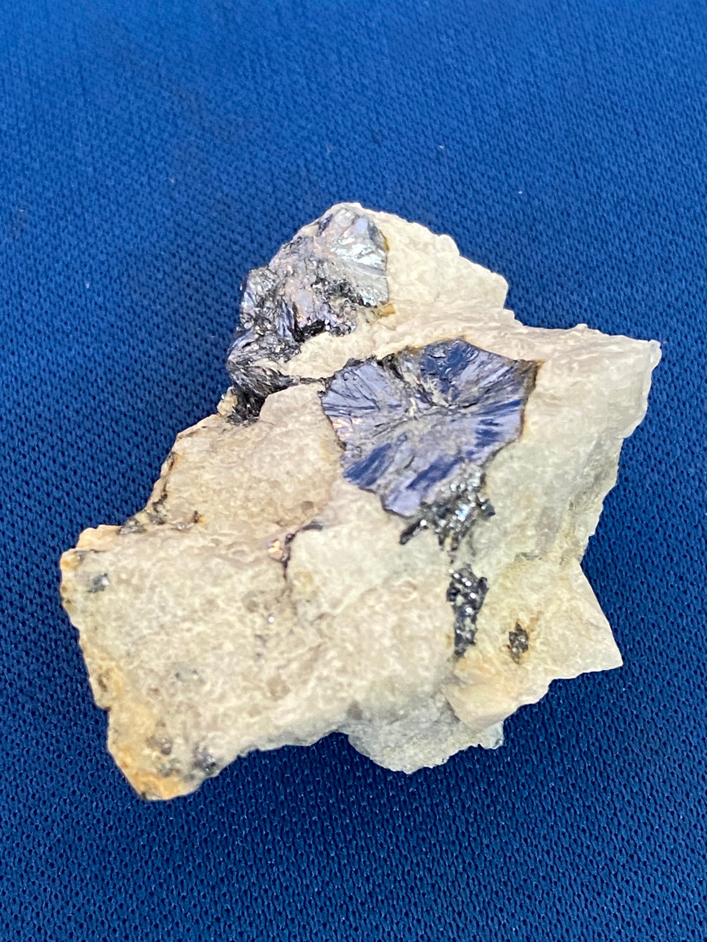 Molybdenite, Boss Mountain Mine, Williams Lake, British Columbia, Canada (Ex Prosper J. Williams)