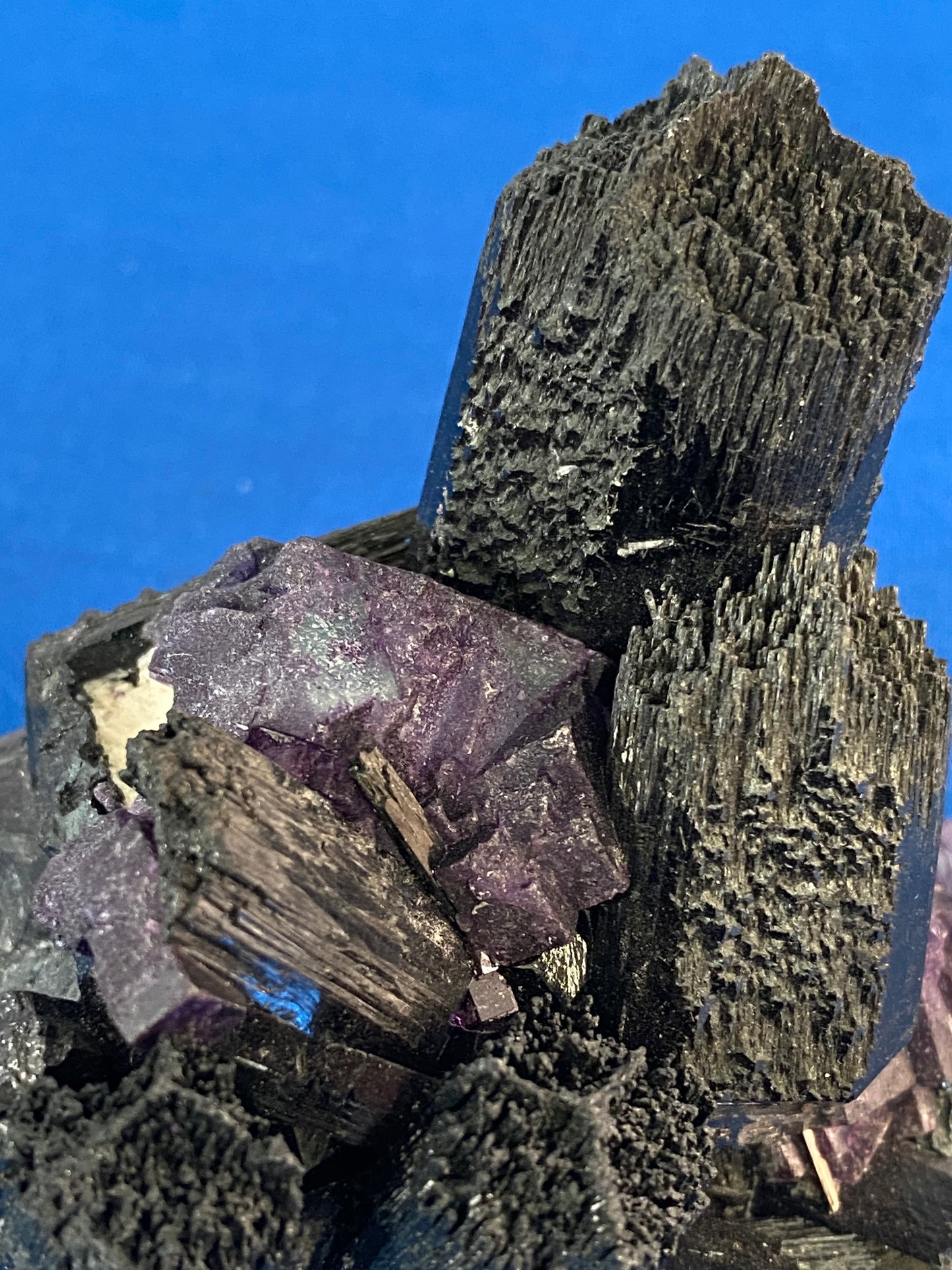 Tourmaline variety Schorl with Fluorite, Erongo, Namibia