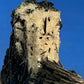 Quartz pseudomorph after Microcline with Schorl, Erongo, Namibia