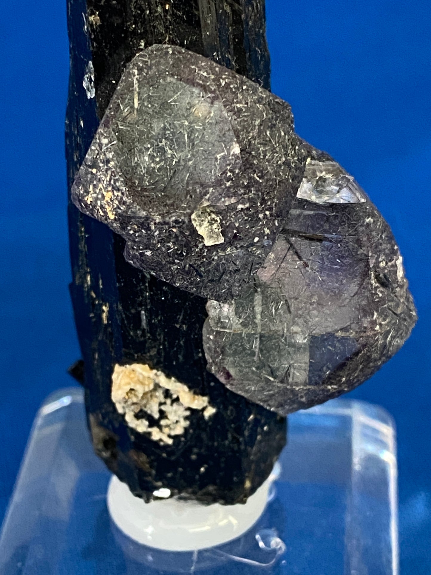 Fluorite on Tourmaline (variety Foitite), Erongo, Namibia