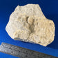 Weloganite - Francon Quarry, Montreal, Quebec, Canada