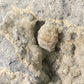 Weloganite - Francon Quarry, Montreal, Quebec, Canada