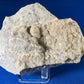 Weloganite - Francon Quarry, Montreal, Quebec, Canada