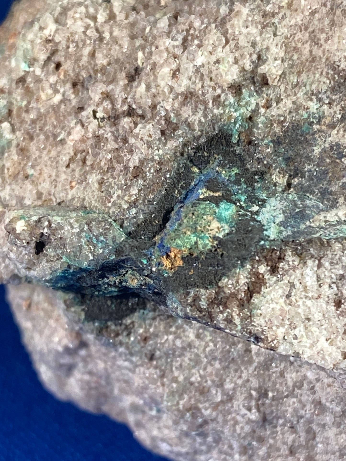 Spionkopite & Yarrowite (rare copper sulphides), Spionkop Ridge, Alberta, Canada