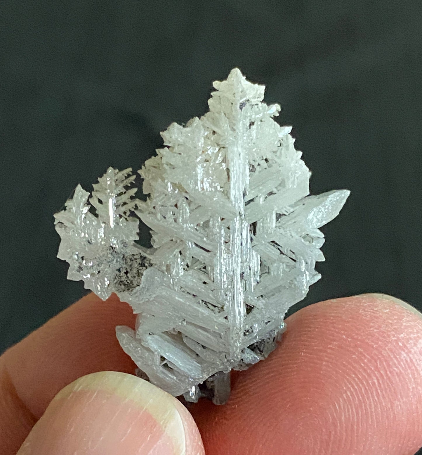 Cerussite (reticulated twin), Tsumeb, Namibia