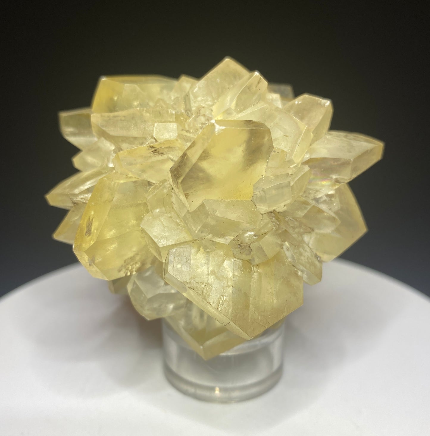 Gypsum (variety Selenite), Red River Floodway, Winnipeg, Manitoba