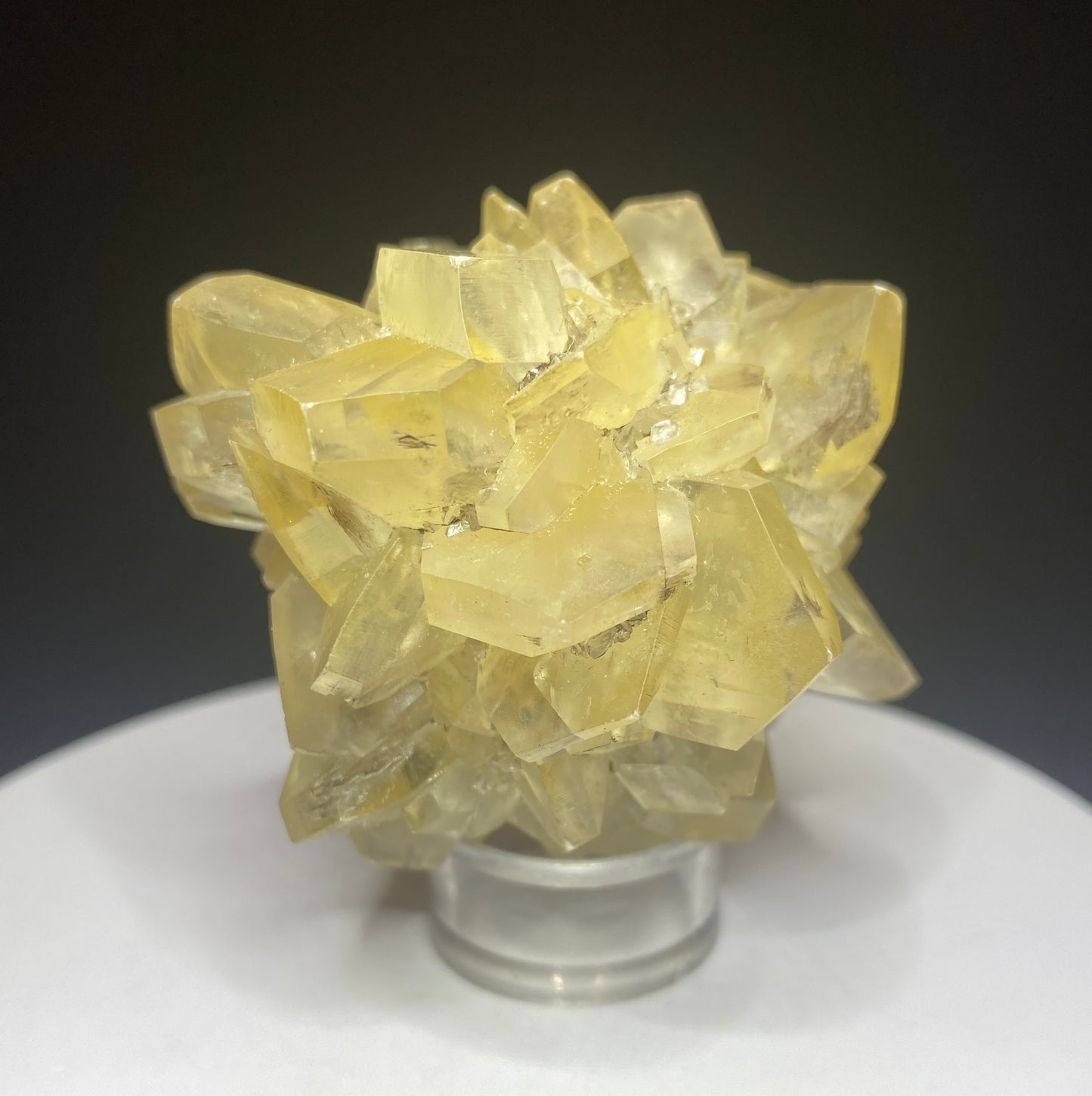 Gypsum (variety Selenite), Red River Floodway, Winnipeg, Manitoba