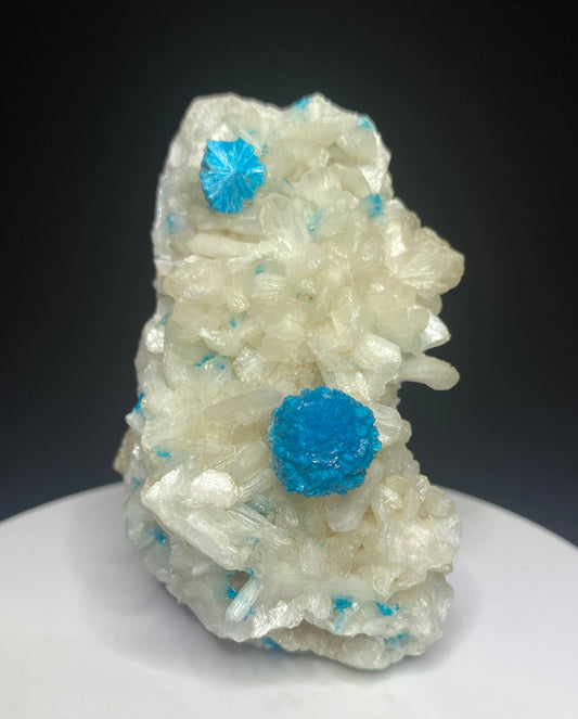 Cavansite on Stilbite, Wagholi Quarries, Pune, Maharashtra, India
