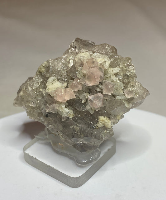 Fluorite on Smoky Quartz, Argentier Glacier, Mont Blanc, France