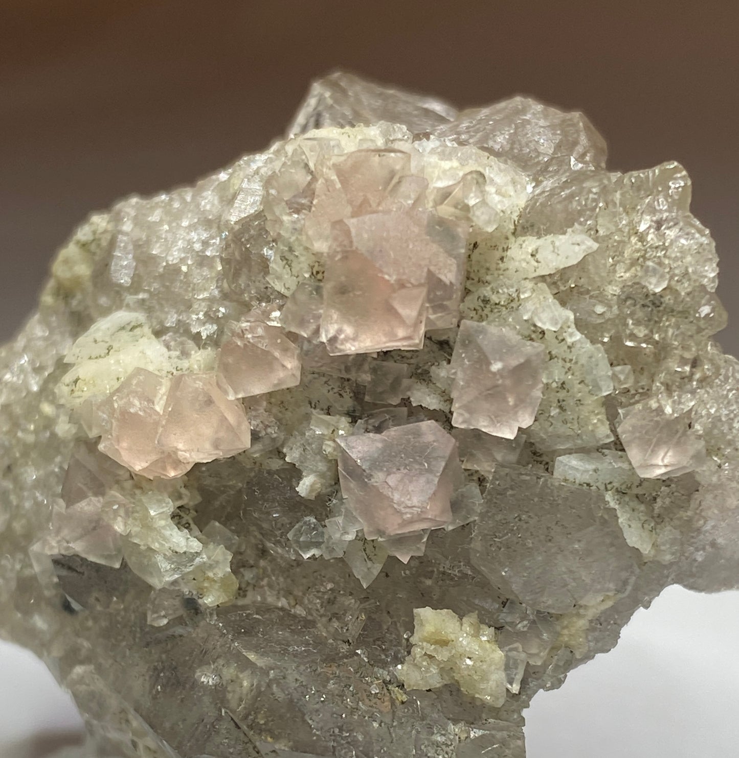 Fluorite on Smoky Quartz, Argentier Glacier, Mont Blanc, France