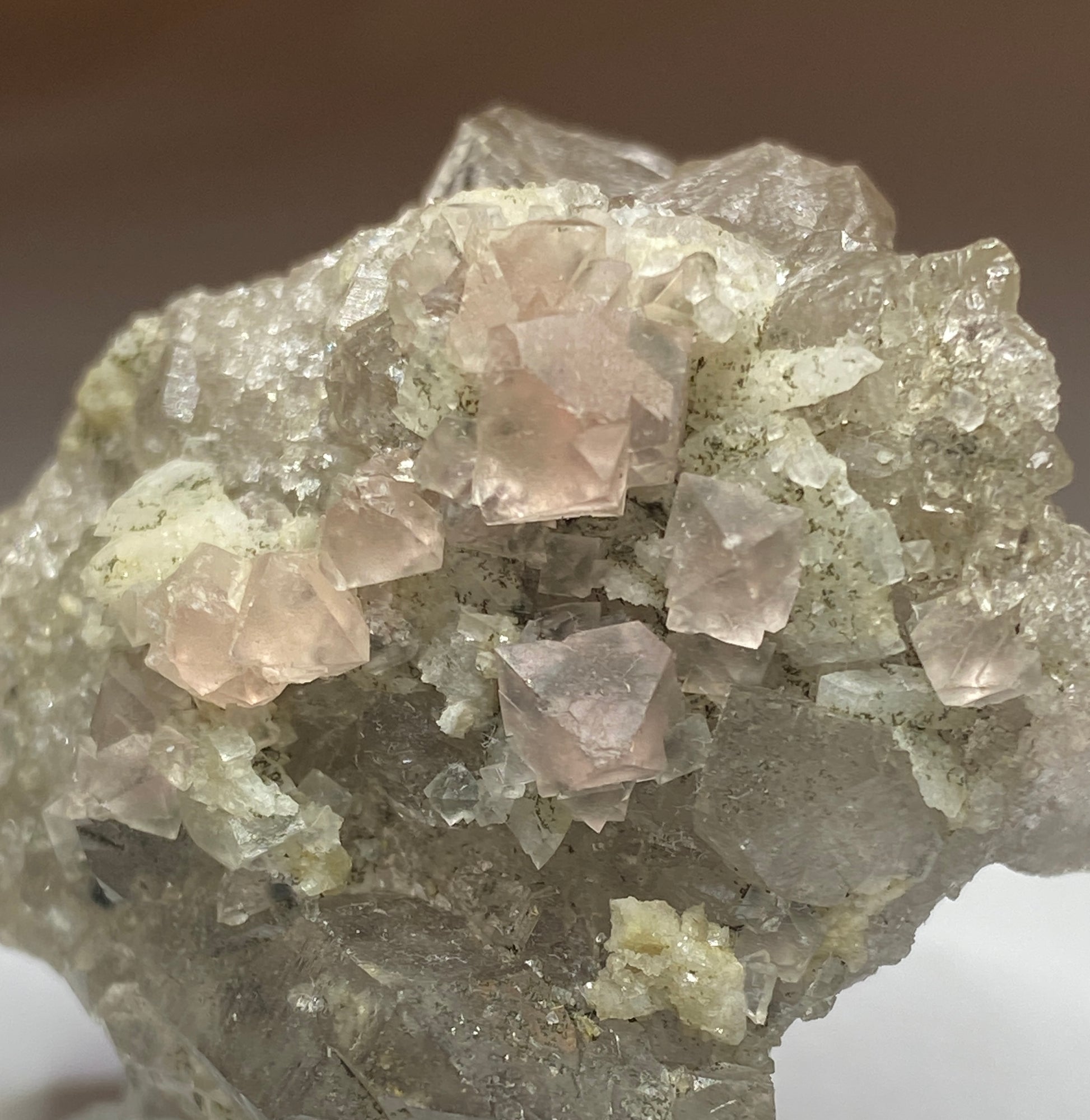 Fluorite on Smoky Quartz, Argentier Glacier, Mont Blanc, France