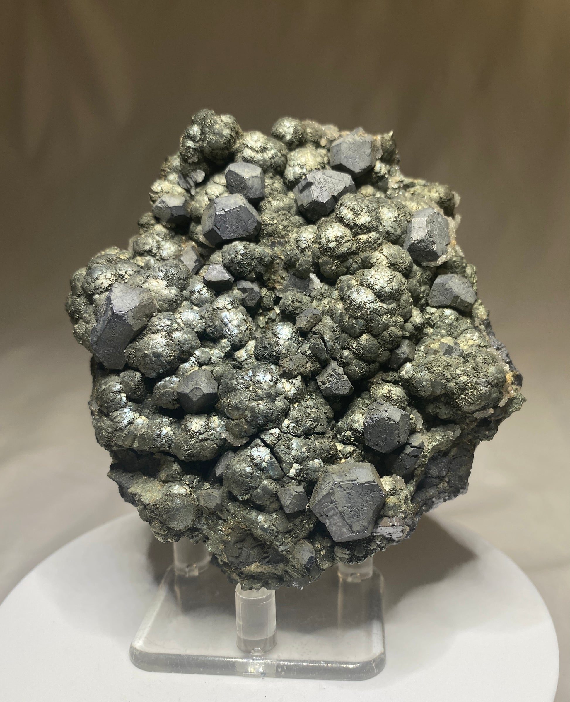 Galena on Marcasite, Buick Mine (Amax Mine; Moloc Mine), Bixby, Missouri
