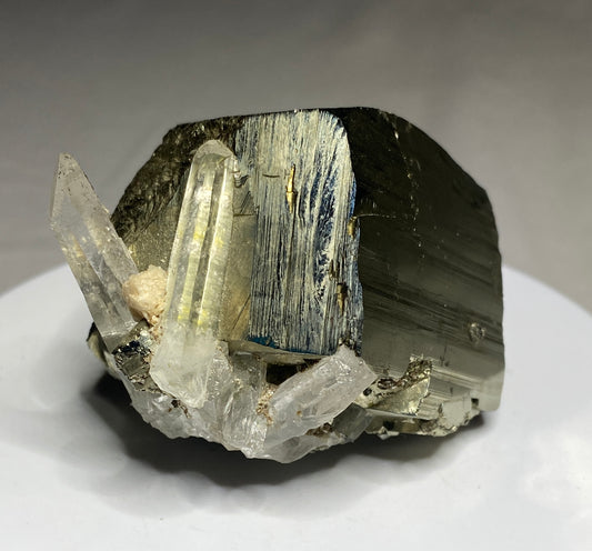 Pyrite with Quartz, Spruce Claims, King County, Washington, USA