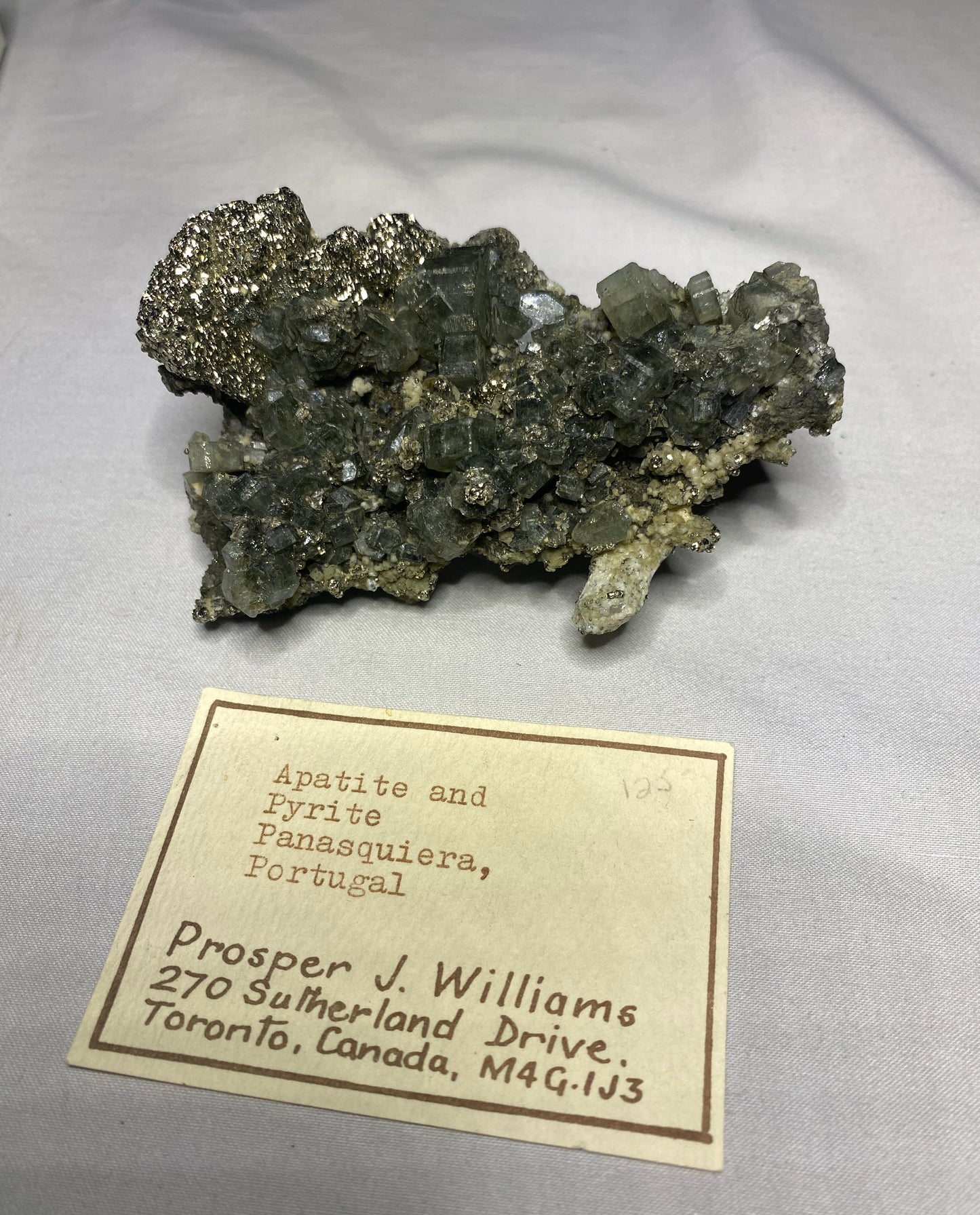 Apatite with Pyrite, Panasquiera, Portugal