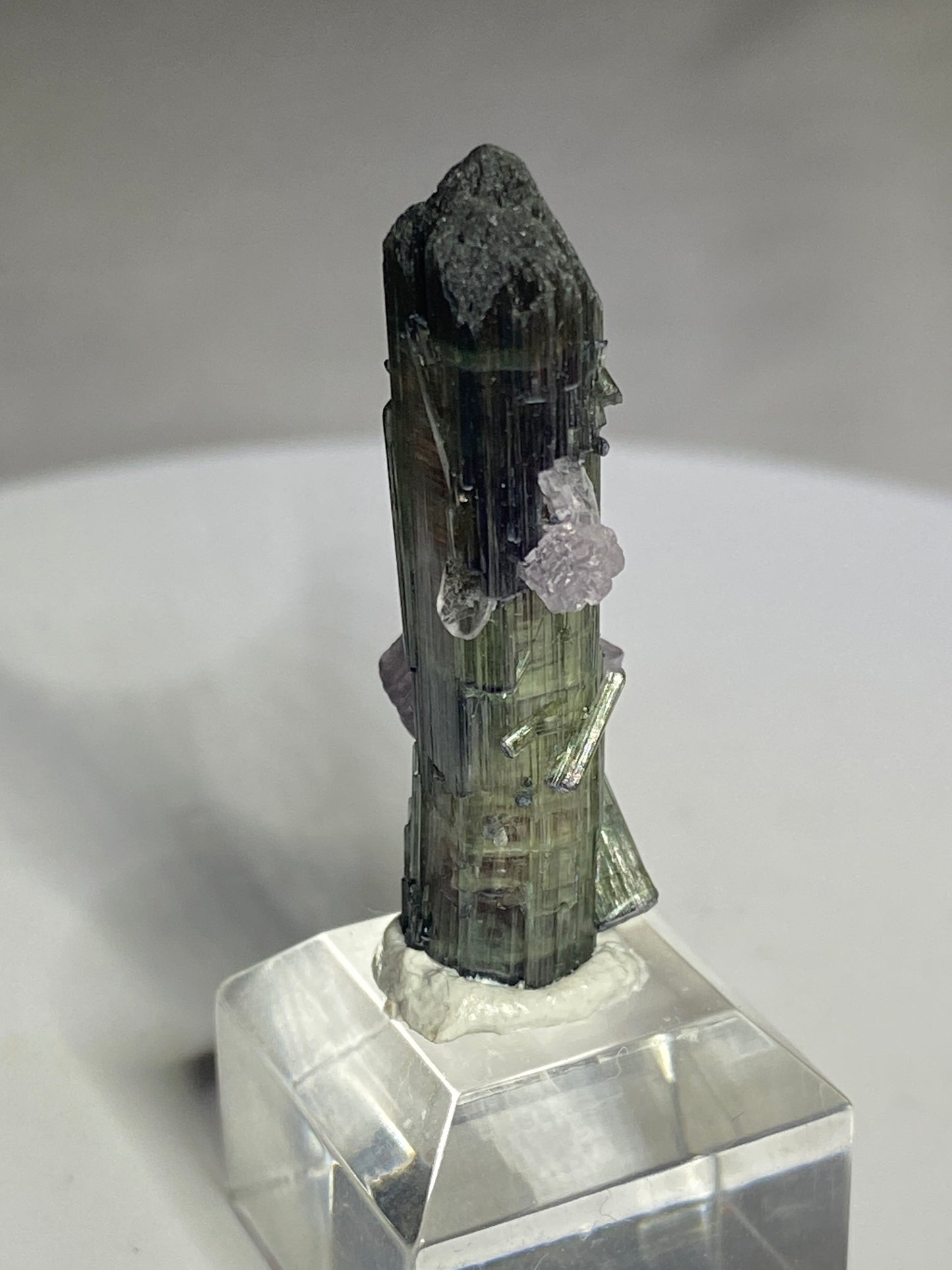 Tourmaline with Lepidolite, San Diego (KCSD) Mine, California, USA