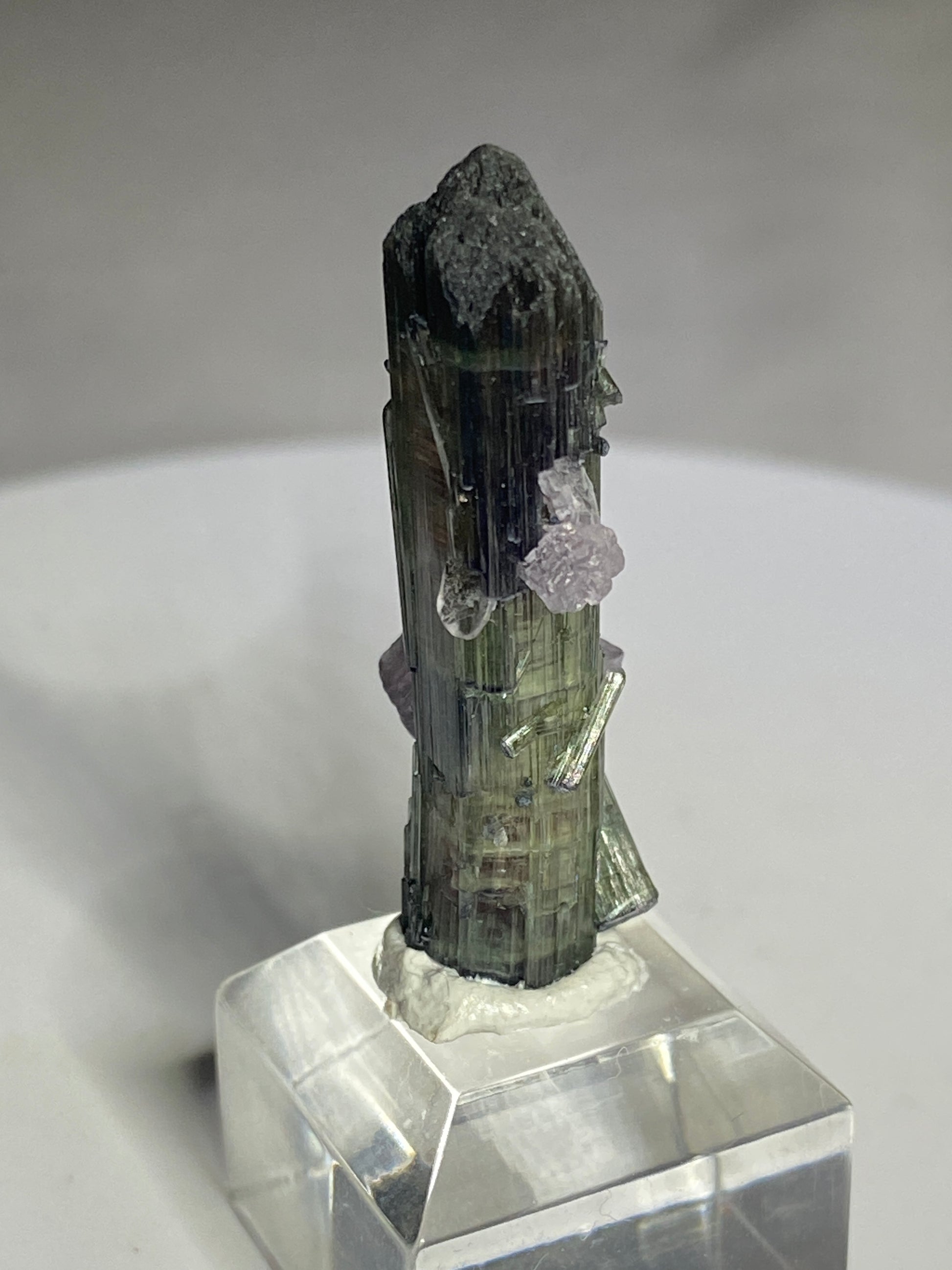 Tourmaline with Lepidolite, San Diego (KCSD) Mine, California, USA