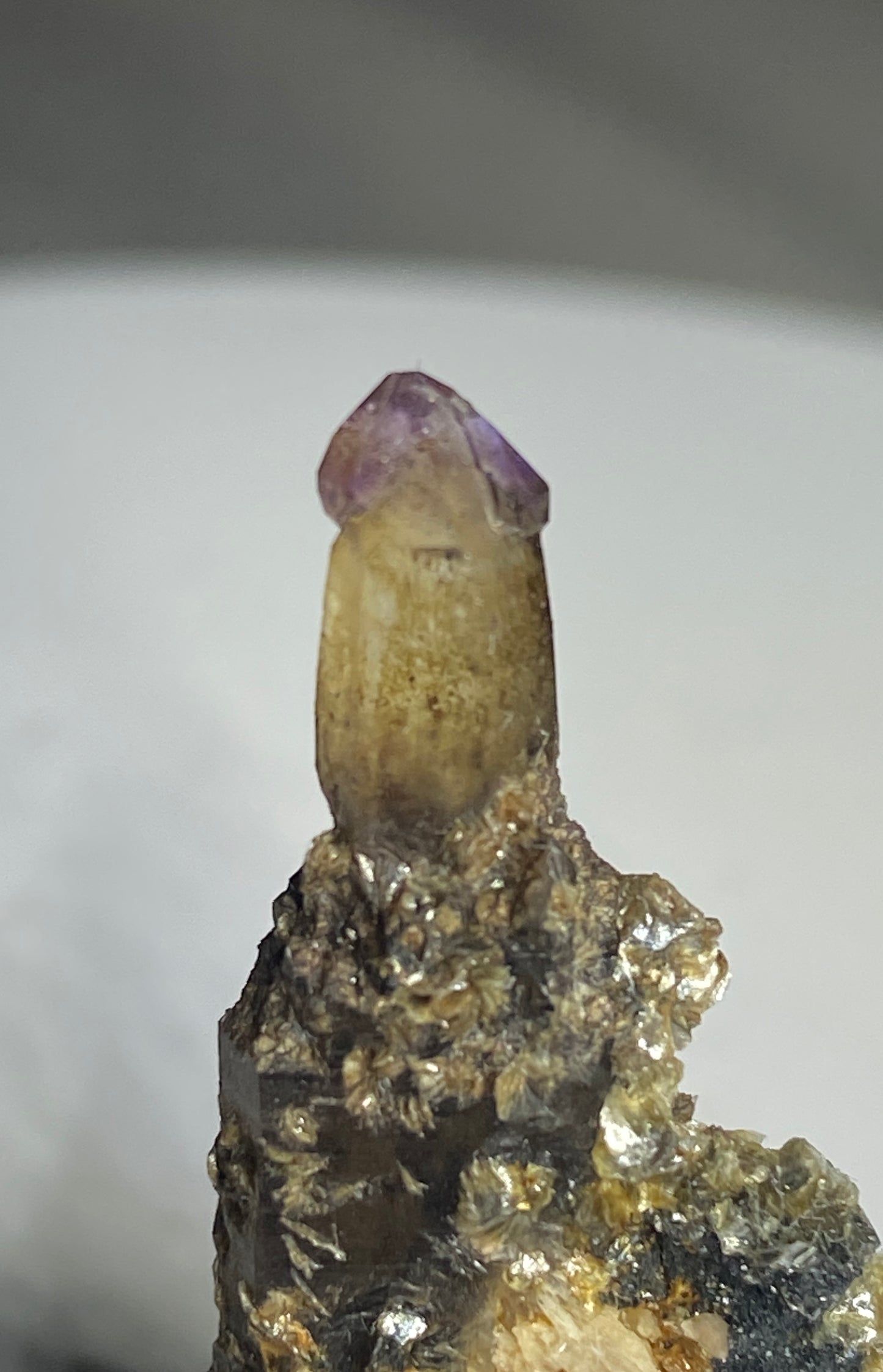 Reverse-sceptered Ametrine, Rock Rush Pocket, Mount Odin, Revelstoke, British Columbia, Canada