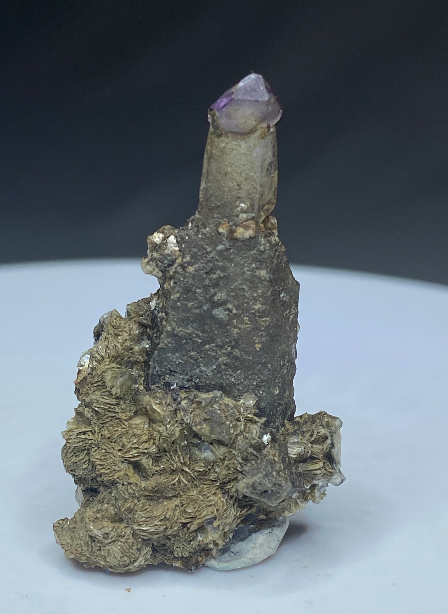 Reverse-sceptered Ametrine, Rock Rush Pocket, Mount Odin, Revelstoke, British Columbia, Canada