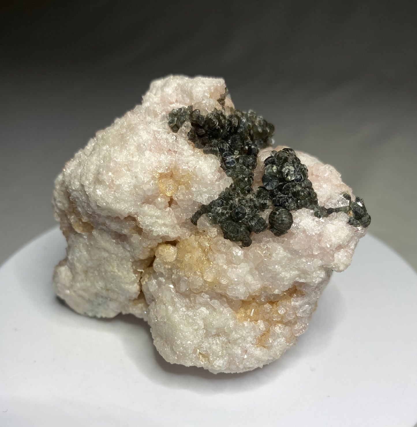 Clinoclore on Grossular Garnet, Jeffrey Mine, Val des Sources, Quebec, Canada