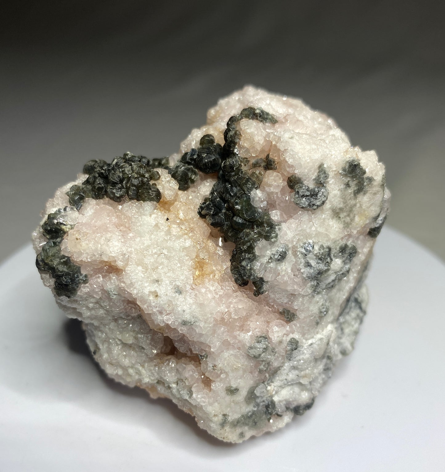 Clinoclore on Grossular Garnet, Jeffrey Mine, Val des Sources, Quebec, Canada