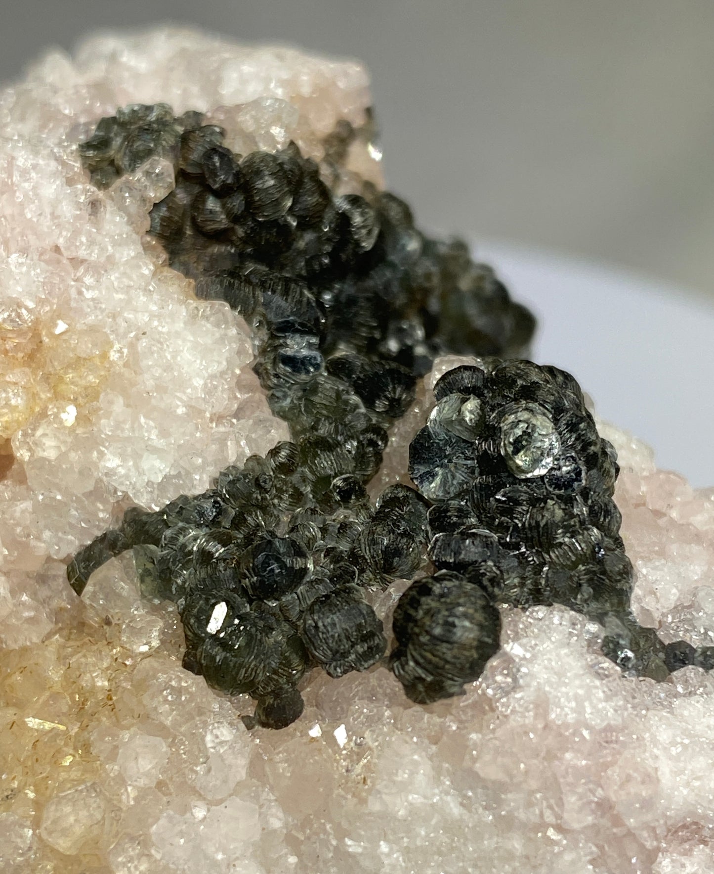 Clinoclore on Grossular Garnet, Jeffrey Mine, Val des Sources, Quebec, Canada